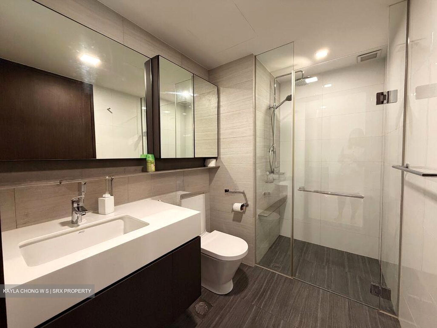 Botanique At Bartley (D19), Condominium #504365391